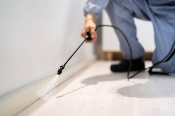 Bed Bug Pre-Treatment Preparation Assessment in Intercourse
