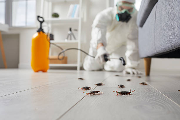 Post-Treatment Bed Bug Interceptor Monitoring in Intercourse